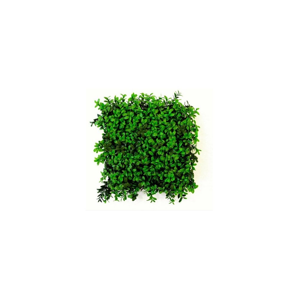 Instant Artificial Buxus Hedge Boxes - Composite Decking Company