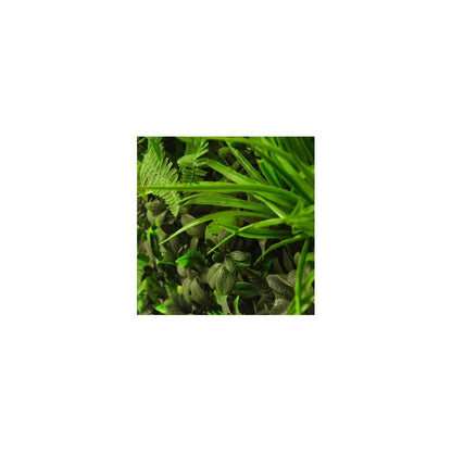 Forrest Fern UV Resistant Green Wall panel - Composite Decking Company
