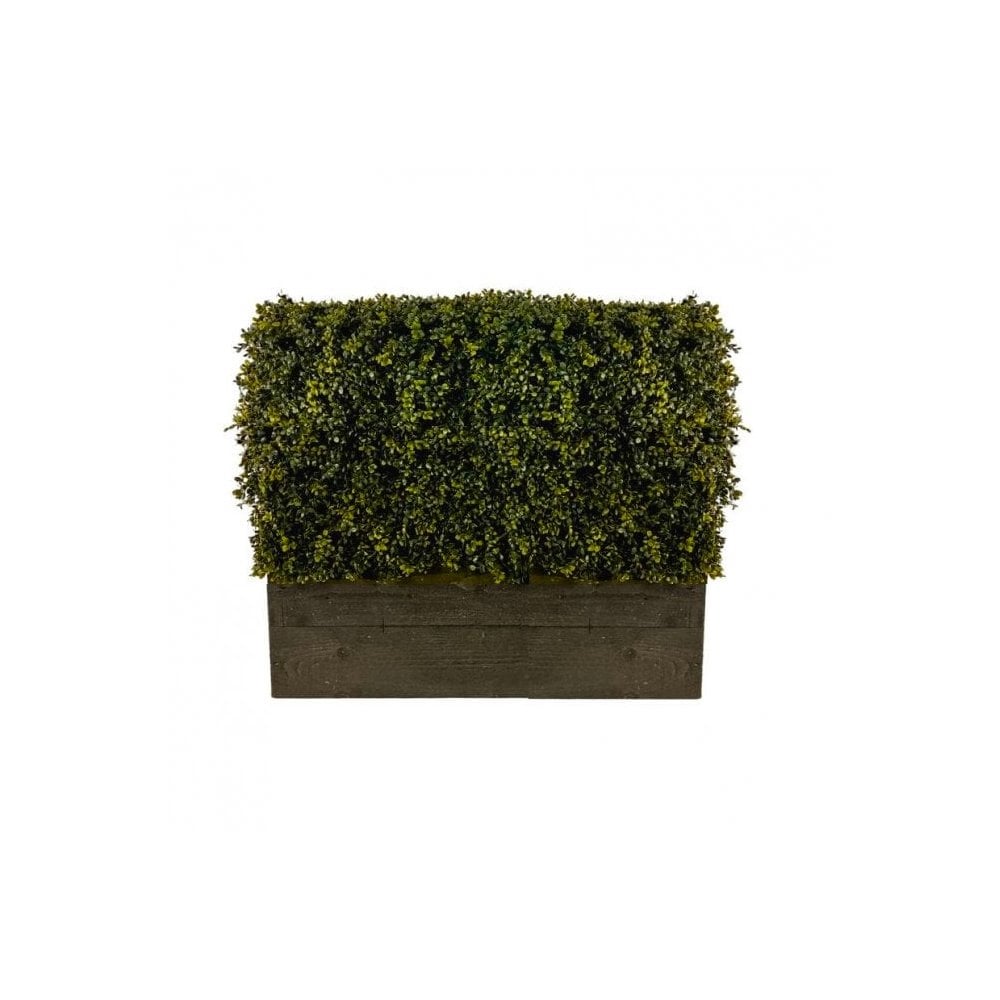 Artificial English Boxwood Hedge in Timber Trough